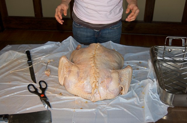 It took both of us to stitch it up.