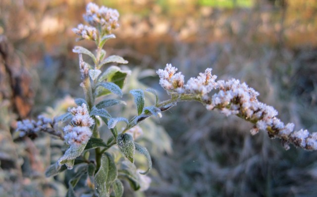 Whitewater State Park