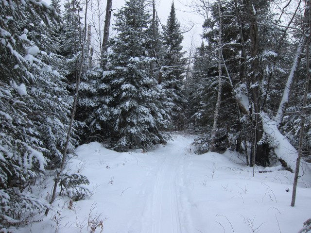 Little bit of Narnia 