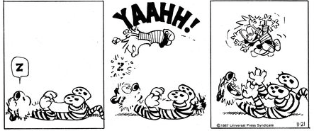 It seemed like a good idea at the time.