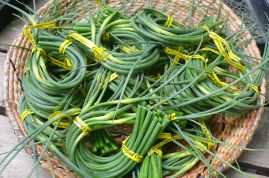 garlic scapes