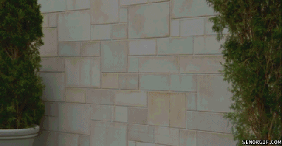 tumblr_lpgbhxFDSf1qlh1s6o1_400